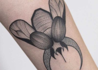 tatuaje mosca | tatuajes insectos | tattoo