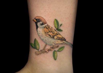 Tatuaje golondrina | tatuajes realistas | tattoo