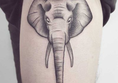 tatuaje elefante | tatuajes animales | tatuajes blanco y negro