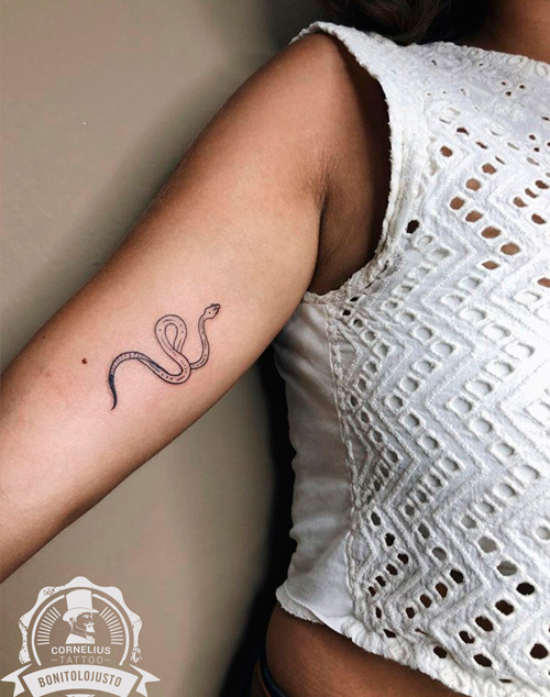 ejemplo tatuajes pequeños: tatuaje serpiente en el brazo
