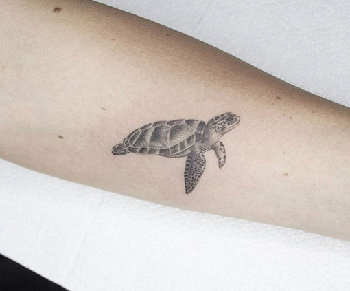 mini tattoo tortuga