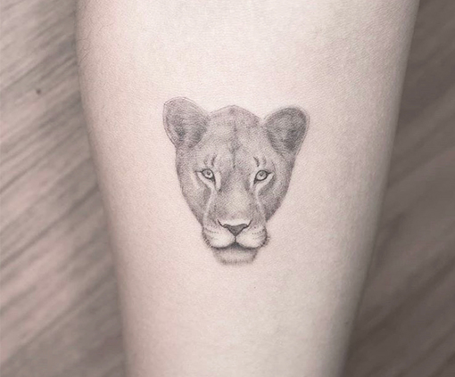 tatuaje dotwork león