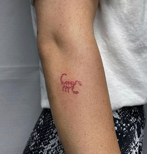 tatuajes minimalistas de un escorpión
