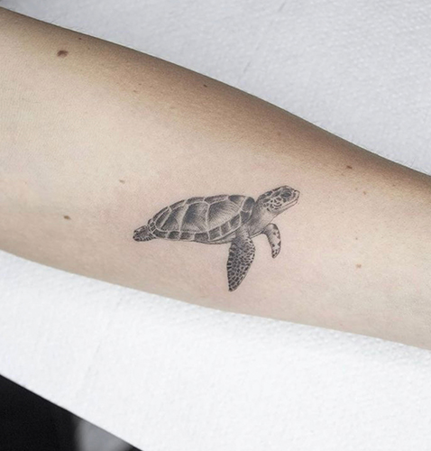 microrealismo tattoo de una tortuga