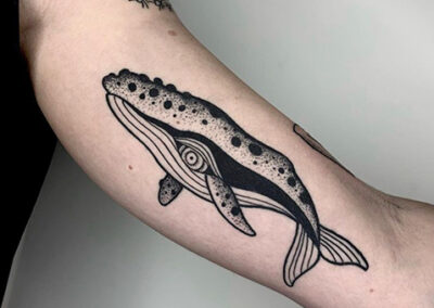 Blackwork tattoo de una ballena en el brazo