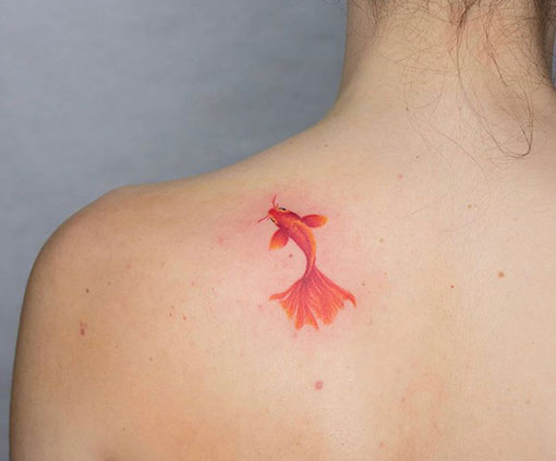 Tatuaje estilo acuarela de un pez rojo en un hombro | Tatuaje de estilo acuarela | Estilos de tatuaje | Cornelius Tattoo