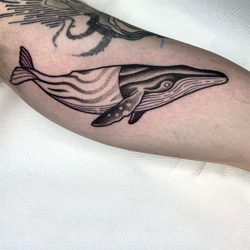tatuaje de una ballena en el brazo | tatuaje en el brazo|  tatuarse en Madrid | Cornelius Tattoo