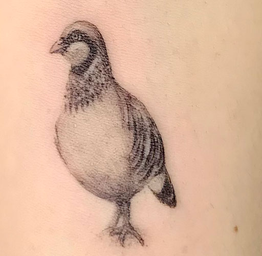 Tatuaje de una perdiz | Tatuaje en el brazo pequeño | tatuaje en el brazo | tatuaje microrealismo | Tatuajes en Madrid | Cornelius Tattoo